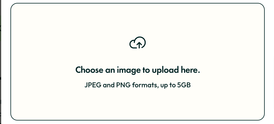 How to Create a Custom Picture Uploader or File Uploader in Bubble.io?