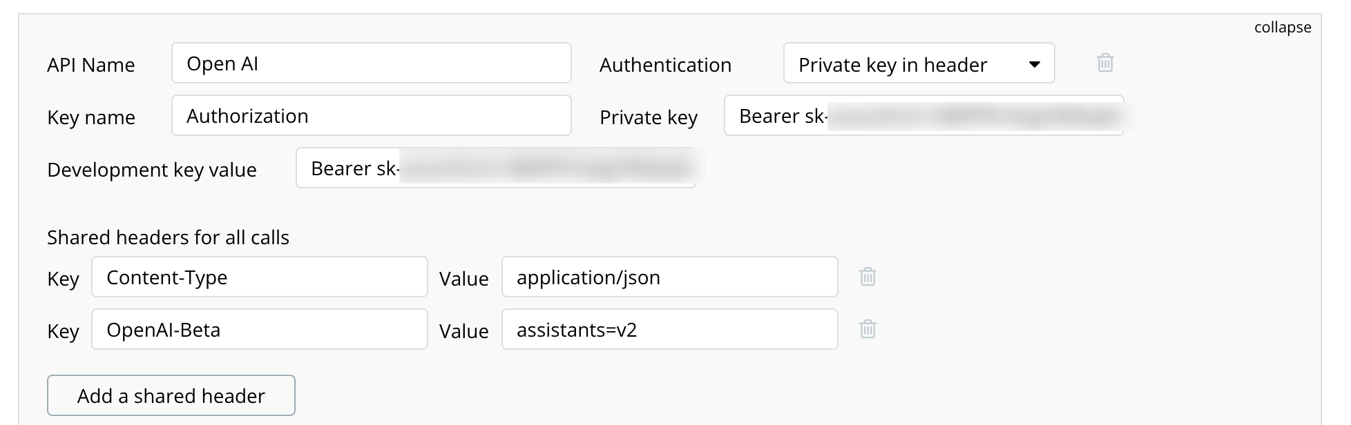 Screenshot of an API configuration panel with fields for API name, authentication type, key name, and development key value. Includes shared headers for all calls.