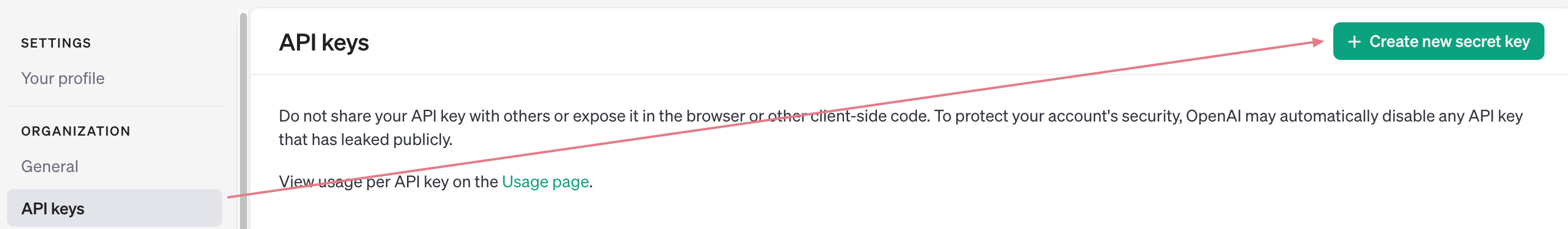 Get Open AI API key